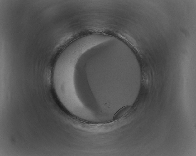 X0000116570023200912241643