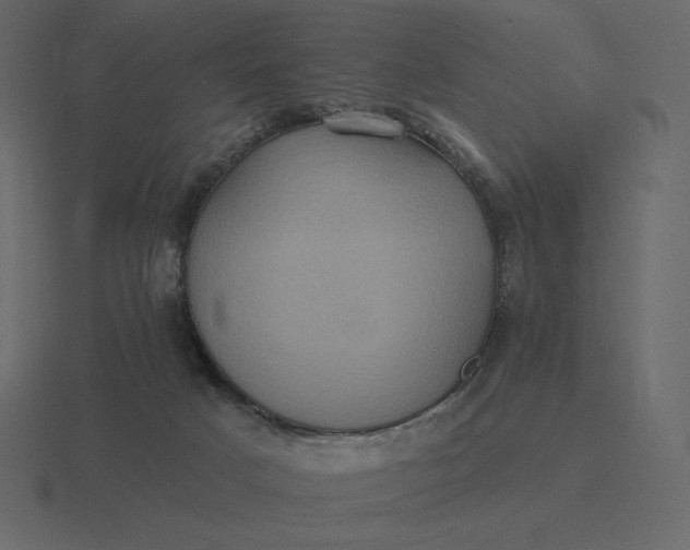 X0000116570025200912241643