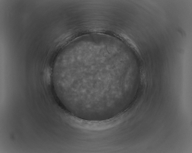 X0000116570026200912241643