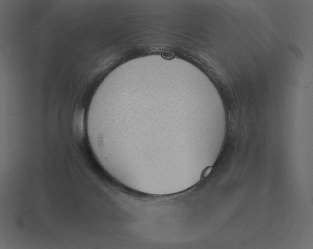 X0000116570028200912241643