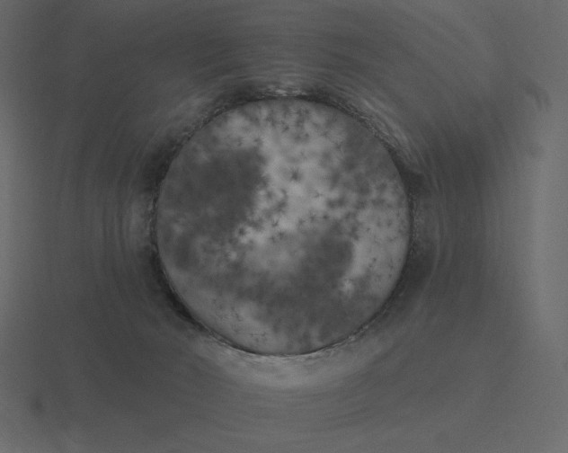 X0000116570030200912241643