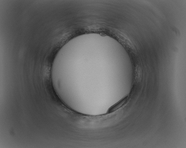 X0000116570033200912241643