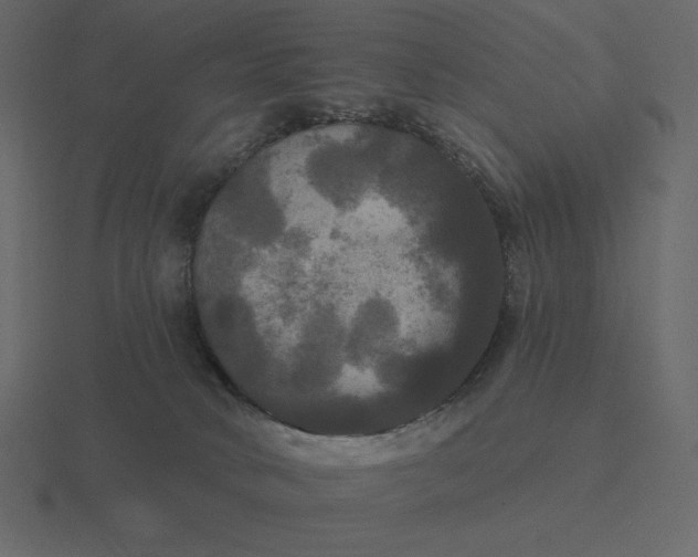 X0000116570034200912241643