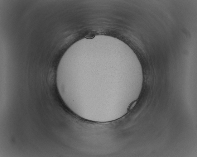 X0000116570036200912241643