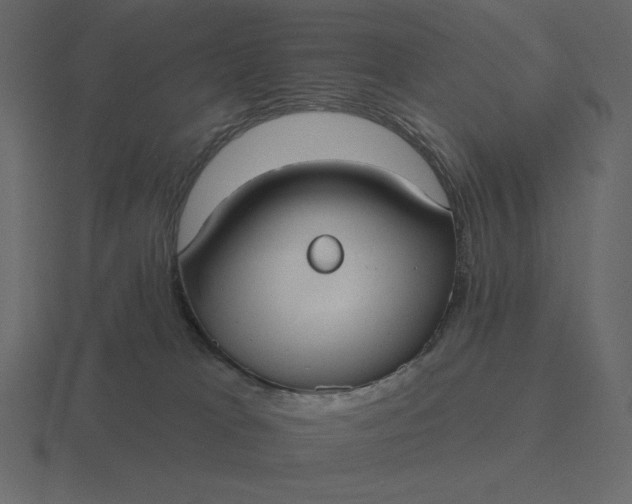 X0000116570037200912241643