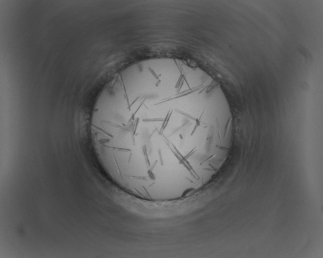 X0000116570038200912241643