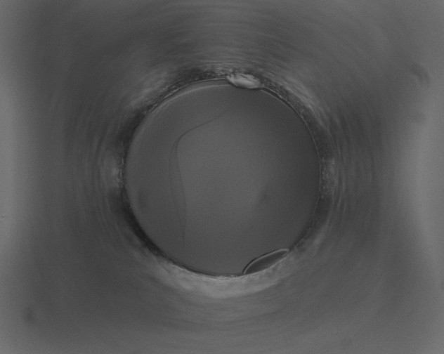 X0000116570039200912241643