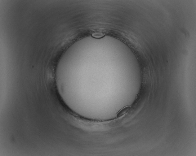 X0000116570040200912241643