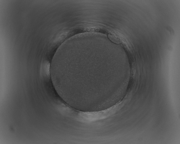 X0000116570041200912241643