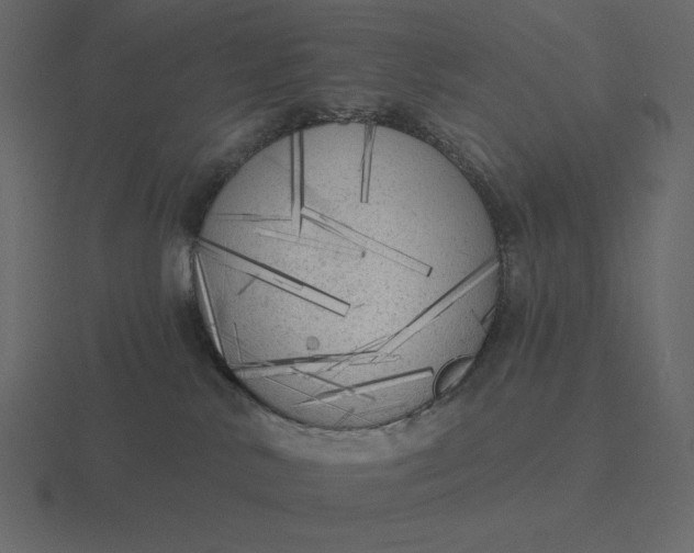 X0000116570042200912241643