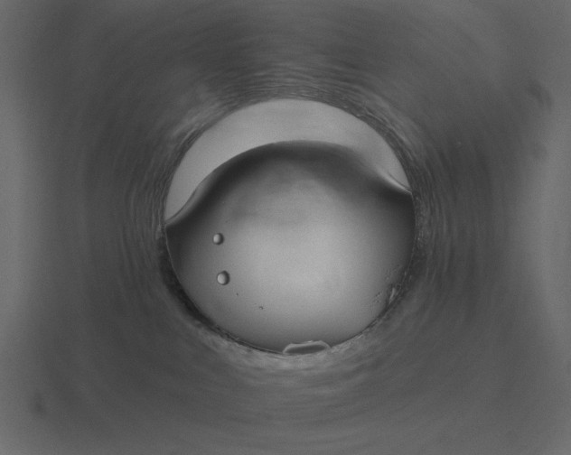 X0000116570043200912241643