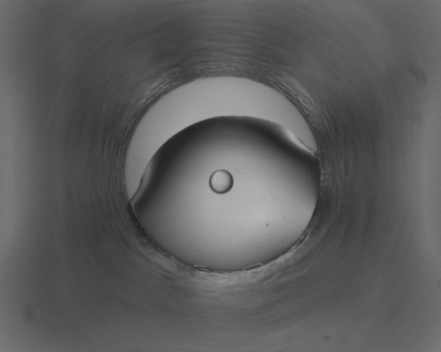 X0000116570045200912241643