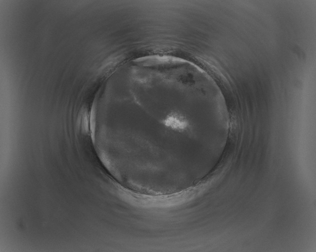 X0000116570046200912241643