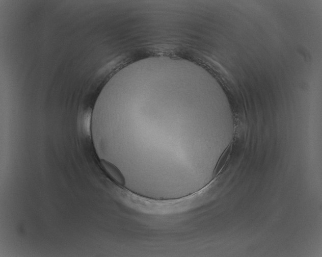 X0000116570047200912241643