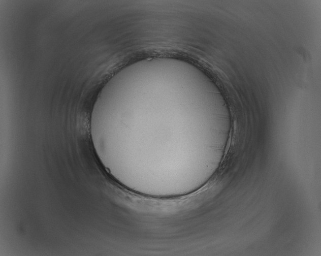 X0000116570048200912241643