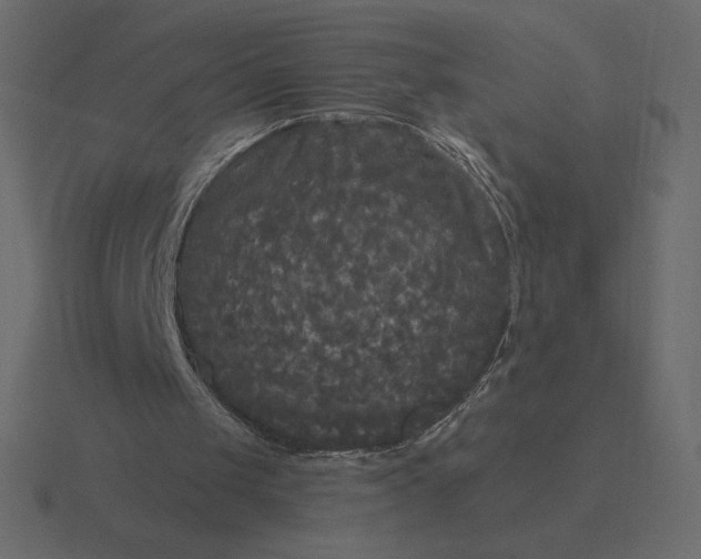 X0000116570049200912241642