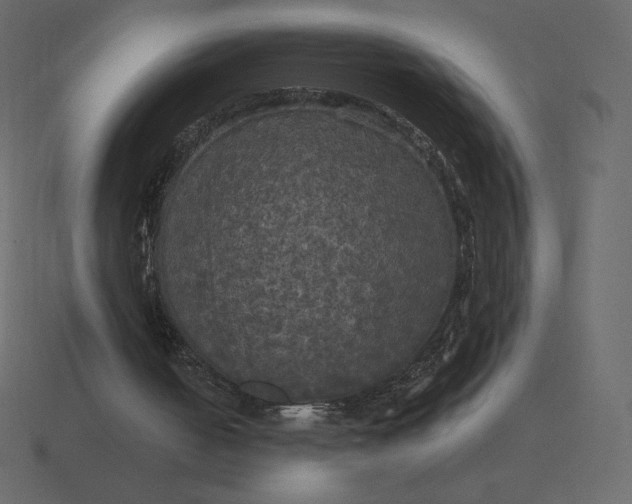 X0000116570050200912241642