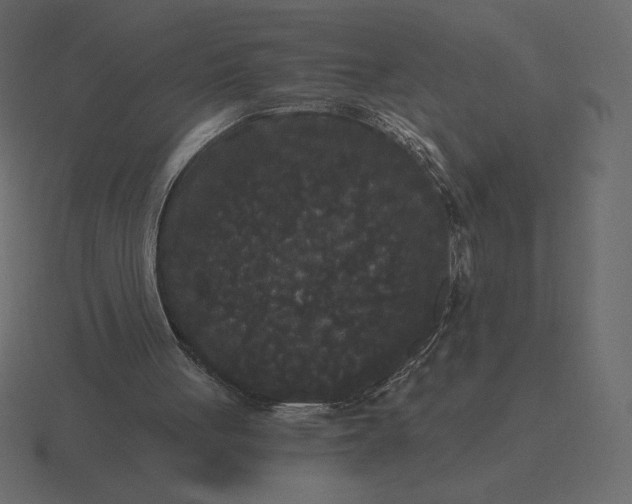 X0000116570051200912241642