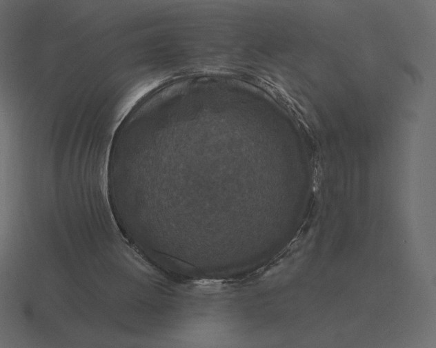 X0000116570052200912241642