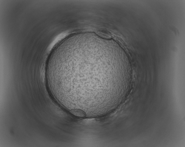 X0000116570054200912241642