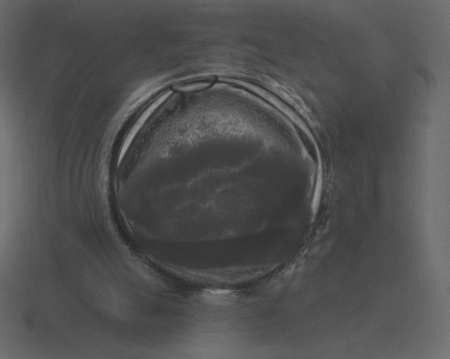 X0000116570055200912241642