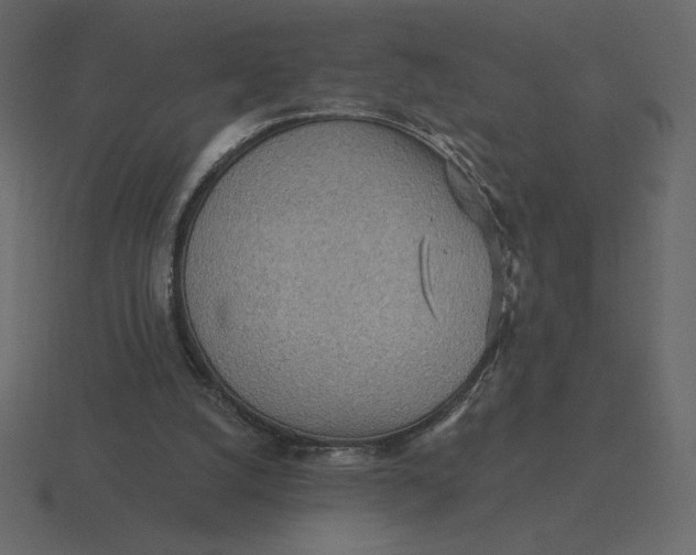 X0000116570056200912241642