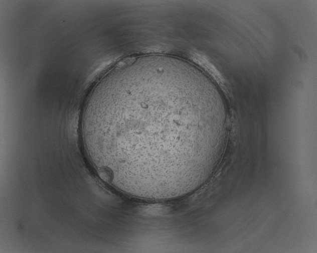 X0000116570058200912241642