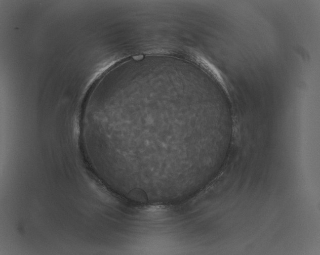 X0000116570059200912241642