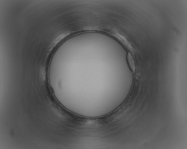 X0000116570060200912241642