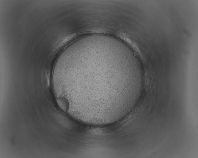 X0000116570062200912241642