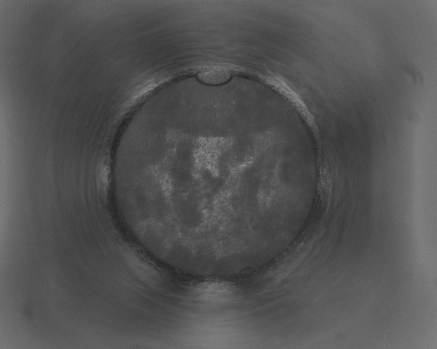 X0000116570063200912241642