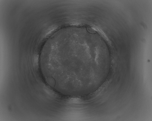 X0000116570066200912241642