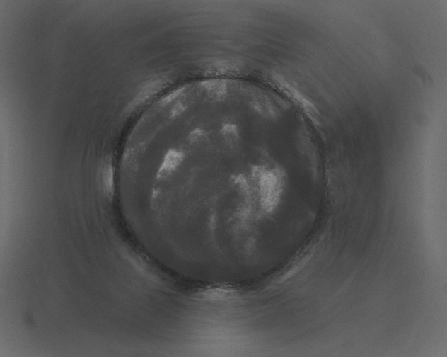 X0000116570067200912241642