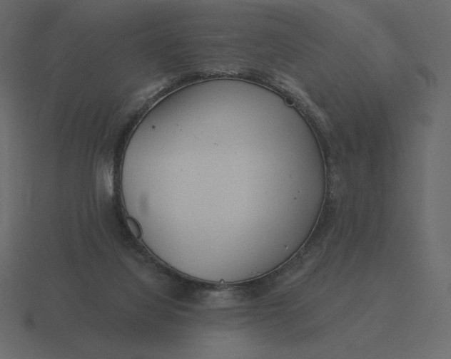 X0000116570068200912241642