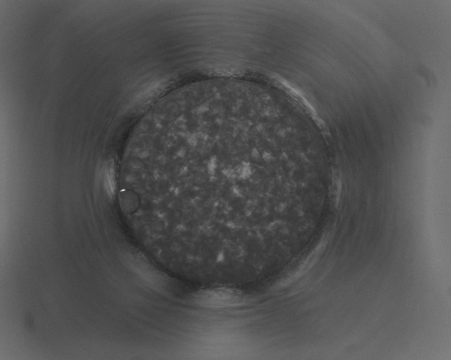 X0000116570069200912241642