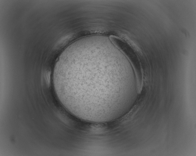 X0000116570070200912241642