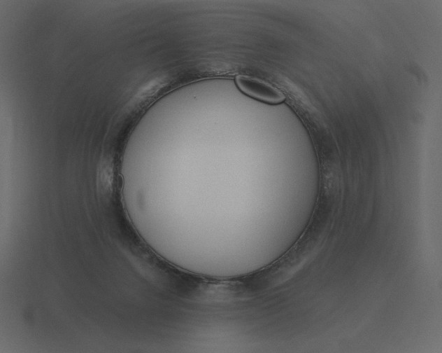 X0000116570072200912241643