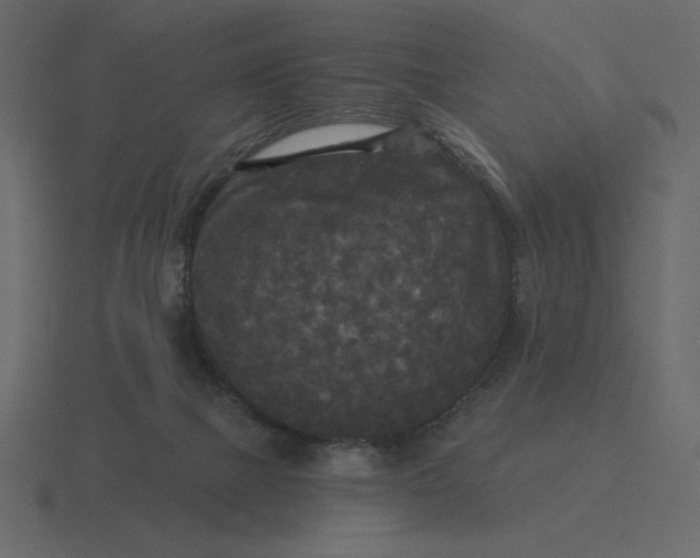 X0000116570073200912241643