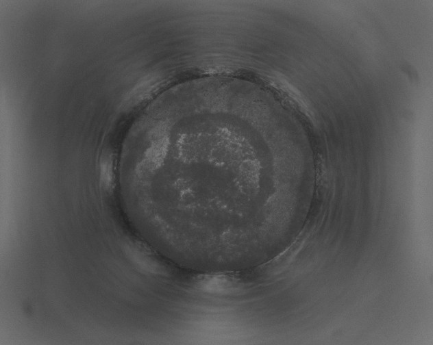 X0000116570074200912241643