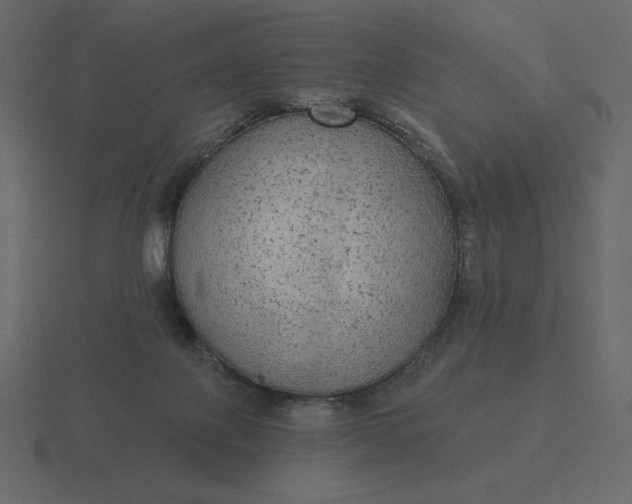 X0000116570075200912241643