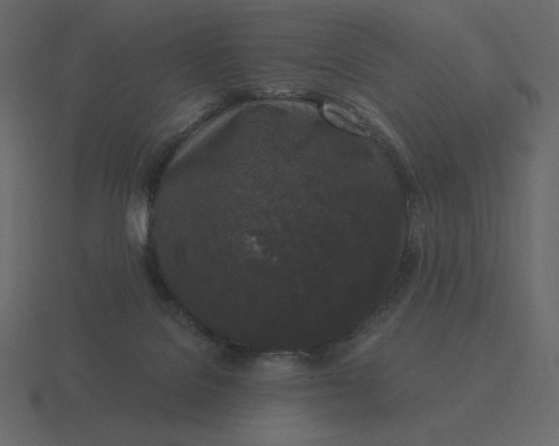 X0000116570076200912241643