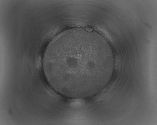 X0000116570077200912241643