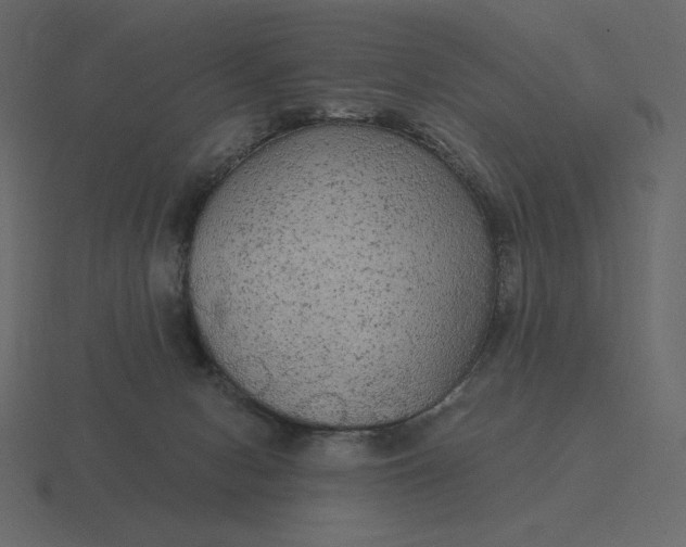 X0000116570078200912241643