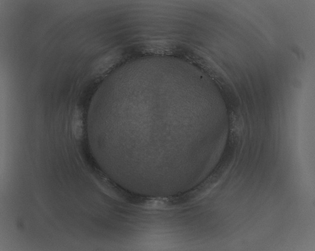 X0000116570080200912241643