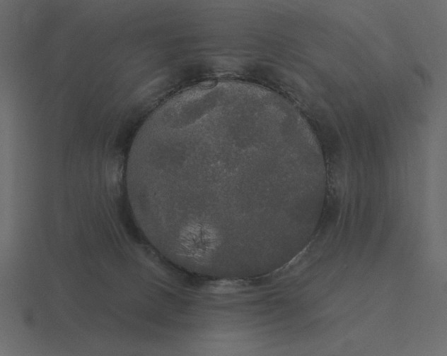 X0000116570082200912241643