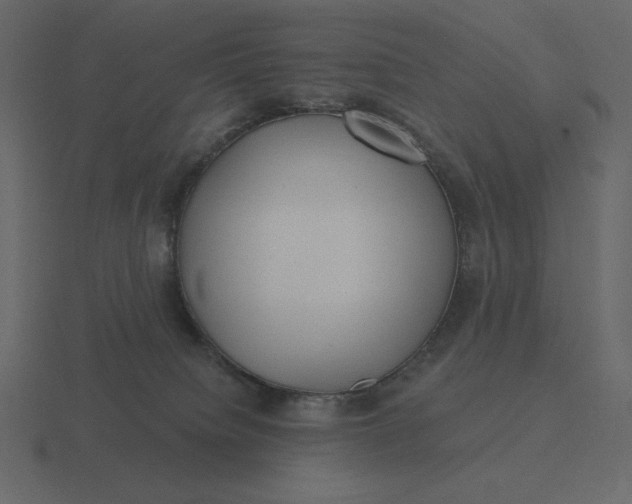 X0000116570084200912241643