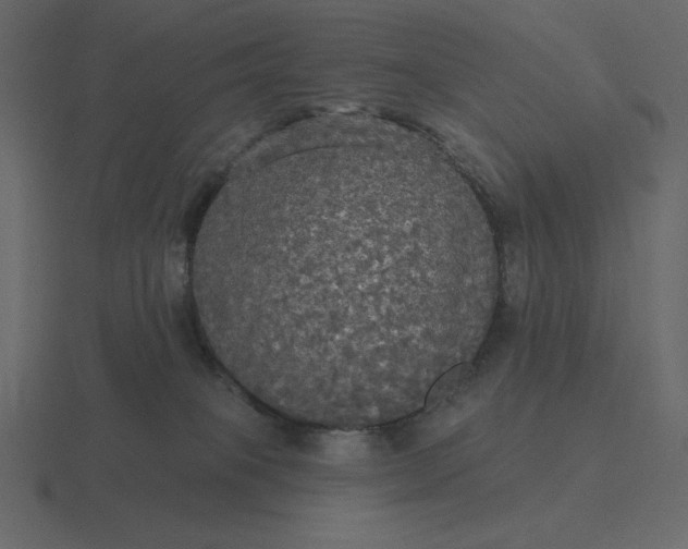 X0000116570085200912241643