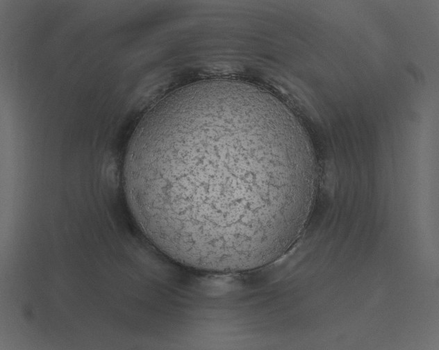 X0000116570086200912241643