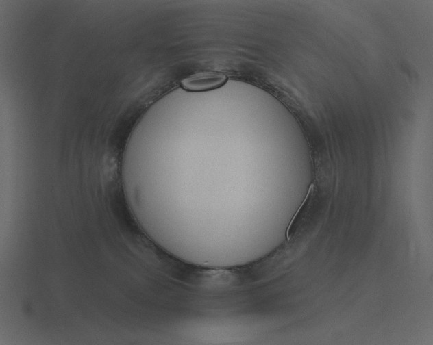 X0000116570087200912241643