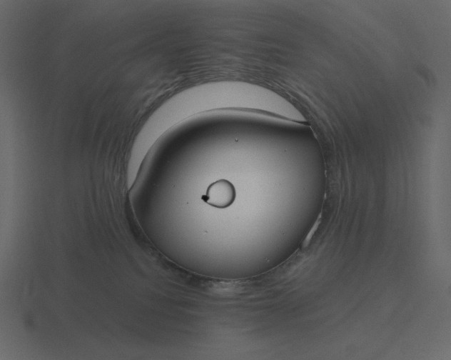 X0000116570088200912241643